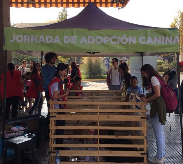 Jornada de Adopcición